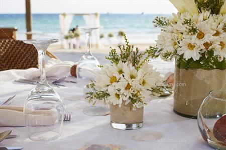 تصویر با کیفیت گل بابونه روی میز سفید